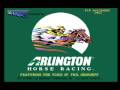 Arlington Horse Racing (Arcade Games)
