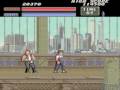 Vigilante (Arcade Games)