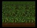 Growl (Arcade Games)