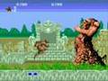 Altered Beast (Genesis)