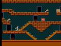 The Bugs Bunny Crazy Castle (NES)