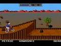 California Games (NES)
