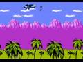 Ninja Gaiden (NES)