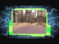 Alien (PC)