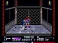 Double Dragon II: The Revenge (PC)