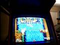 Toki (Arcade Games)