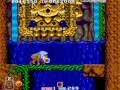 Toki (Arcade Games)