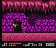 Double Dragon (NES)