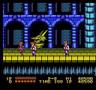 Double Dragon (NES)