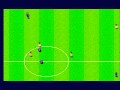 Sensible Soccer (Sega Master System)