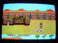 Rambo III (Sega Master System)