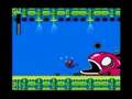 Mega Man (NES)