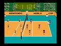 Volleyball (NES)