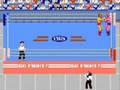 Pro Wrestling (NES)