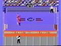 Pro Wrestling (NES)