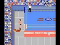 Pro Wrestling (NES)