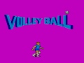 Great Volleyball (Sega Master System)