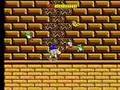 Wonder Boy (Sega Master System)