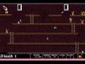 Dark Castle (Amiga)