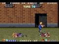 Double Dragon (Arcade Games)