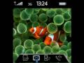 miPhone (BlackBerry)