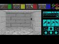 Dungeon Master (Atari ST)