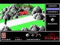 Ninja (PC)