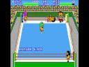 Pro Wrestling (Sega Master System)