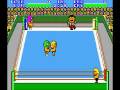 Pro Wrestling (Sega Master System)