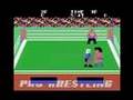 Pro Wrestling (Sega Master System)