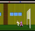 Karateka (NES)