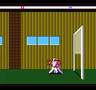 Karateka (NES)