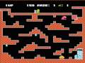 Chack'n Pop (NES)