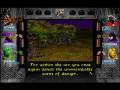 Wizardry (PC)