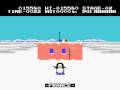 Antarctic Adventure (Arcade Games)