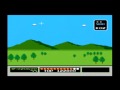 Vs. Duck Hunt (Arcade Games)