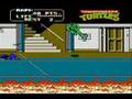 Turtles (Arcade Games)
