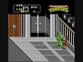 Turtles (Arcade Games)