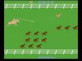 Stampede (Atari 2600)