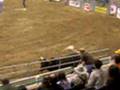 Cowboy (Pinball)