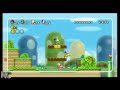 New Super Mario Bros. Wii (Wii)