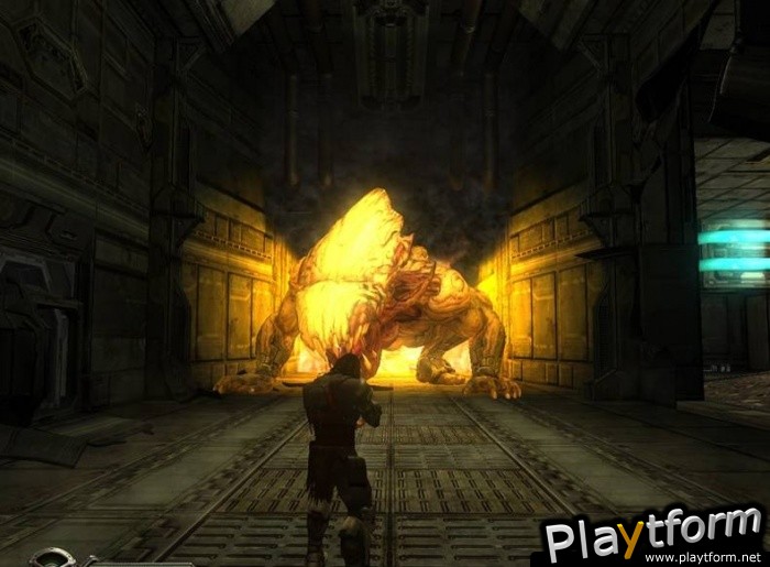 Collapse (PC)