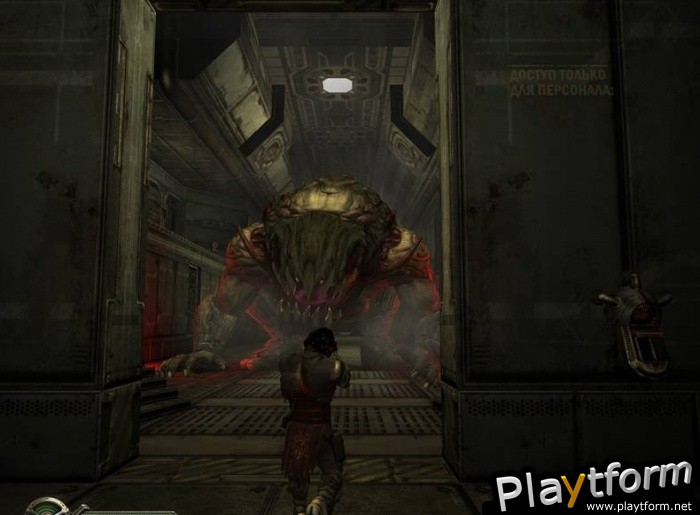 Collapse (PC)