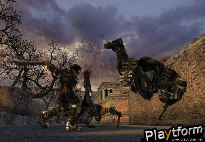 Collapse (PC)