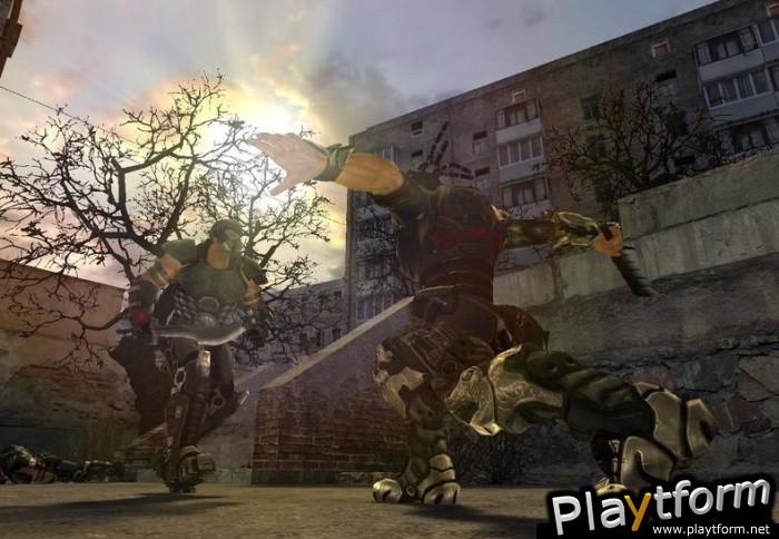 Collapse (PC)
