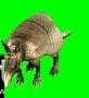 Wildlife Park: Wild Creatures (PC)