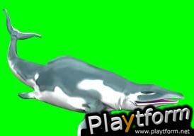 Wildlife Park: Wild Creatures (PC)