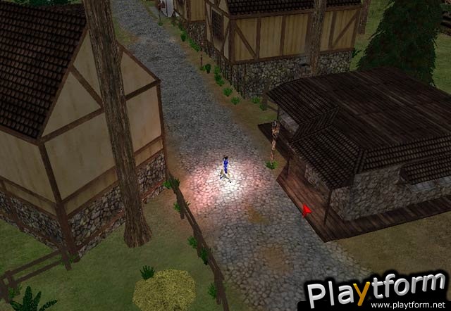 The Chronicles of Ny (PC)