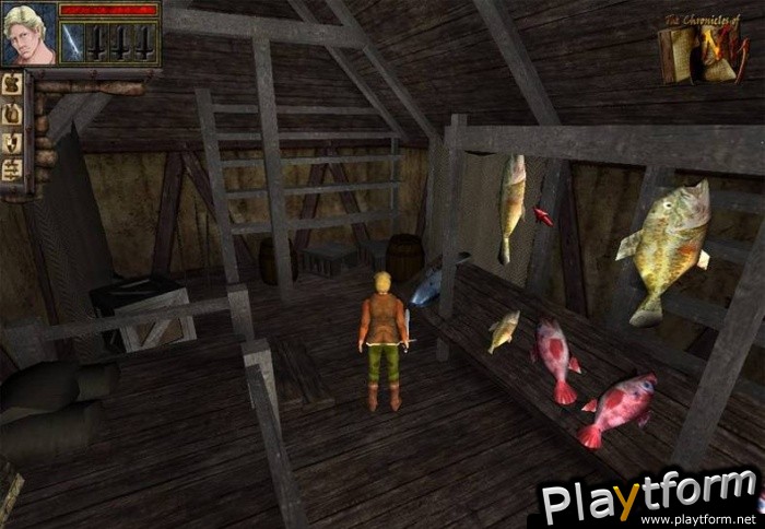 The Chronicles of Ny (PC)