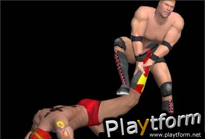 Pro Wrestling X (PC)